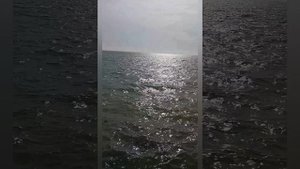 🌊💎🌊