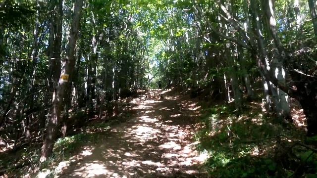 Хребет Парашка 2018 (1-ша част.) смотреть онлайн