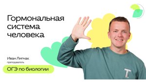 Гормональная система человека | ОГЭ 2025 по Биологии