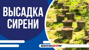 НА ТЕРРИТОРИИ КРАСНОПОЛЯНСКОЙ ШКОЛЫ ПОЯВИЛАСЬ НОВАЯ СИМВОЛИЧЕСКАЯ АЛЛЕЯ!