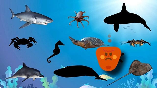 Викторина про обитателей морей и океанов 🐟 Морские животные 🐬 Подводный мир-Развивающие мультик