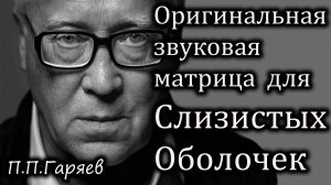 Оригинальная звуковая матрица П.П. Гаряева для восстановления слизистых оболочек носа