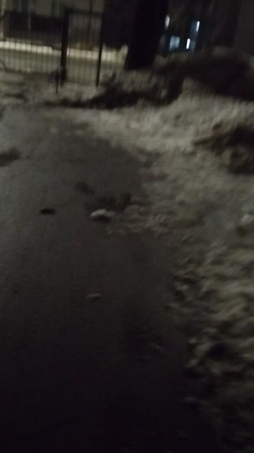 15 марта 2025 г., 21:34:26
Двор П. Осипенко 48
VID_20250315_213343650