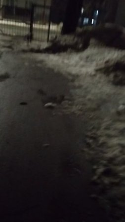 15 марта 2025 г., 21:34:26
Двор П. Осипенко 48
VID_20250315_213343650