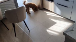 Убери лапы! | Mishel