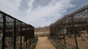 Зоопарк Сафари в Бердянске 2025