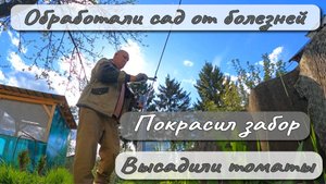 ОБРАБОТАЛИ САД ОТ БОЛЕЗНЕЙ  ПОКРАСИЛ ЗАБОР  ВЫСАДИЛИ ТОМАТЫ