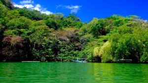 Сергей Михеев. 05.05.2025