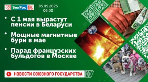 С 1 мая вырастут пенсии в Беларуси/Мощные магнитные бури в мае/Парад французских бульдогов в Москве