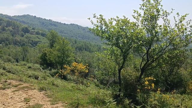 мой участок смотреть онлайн