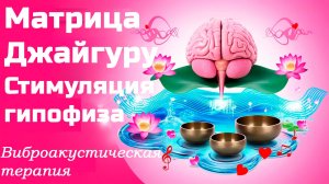 🧠 🎧 Стимуляция гипофиза. Матрица. Виброакустическая терапия Джайгуру. 💻 ВАУ "Партнёр-Ол"