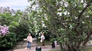 Украина 4 Мая КИЕВ