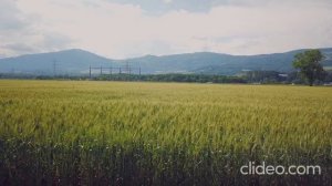 Ну вот и всё.