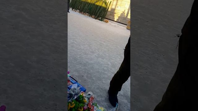 танцульки в Кокшетау смотреть онлайн