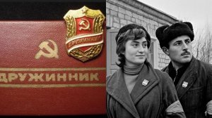 Бригады содействия милиции (БРИГАДМИЛ)