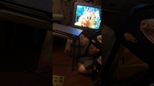 Телевизор JVC и DVD LG