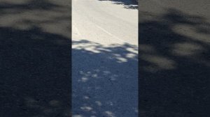 Договор на экскурсию на гору Ай-Петри в Крыму. Отдых.