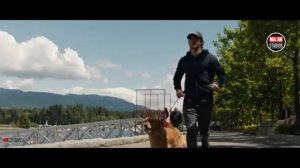 CREED IV Trailer 2 (HD) Michael B Jordan, Milo Ventimiglia | Rocky Jr vs Adonis Creed (Fan-Made)