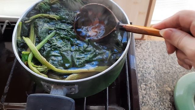 ЛОПУХ  и КРАПИВА