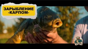 Зарыбление карпом 05.05.2025