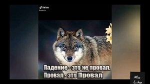 Мемы БЕЗУМНО МОЖНО БЫТЬ ПЕРВЫМ