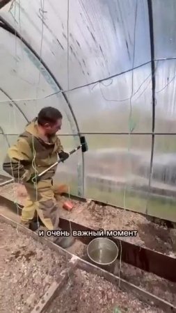 Как правильно подготовить теплицу: полезные рекомендации для садоводов.