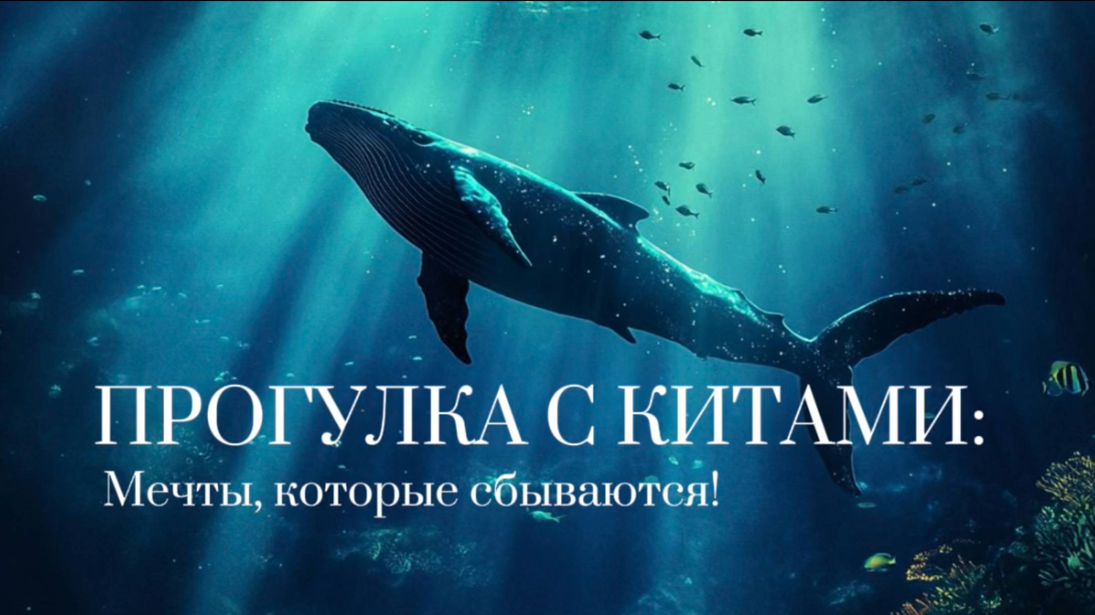 Прогулка с китами смотреть онлайн