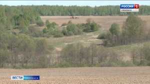 Опасное новоселье. В Смоленской области спасли гнездо аистов