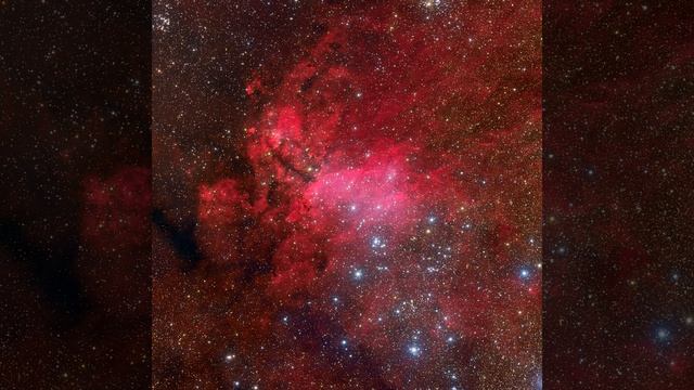 ТриБара (feat. Moncleroyang!) смотреть онлайн