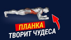 Что будет если делать ПЛАНКУ 1 минуту в День (ВАС удивит)