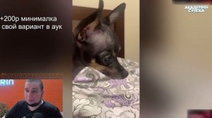 МАНУРИН СМОТРИТ АКАДЕМИЮ СМЕХА - MANYRIN СМОТРИТ ЛУЧШИЕ ПРИКОЛЫ 2023- РЕАКЦИЯ "БАРХАТНАЯ". #manyrin