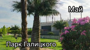 🌿🌸Прогулка в парке Галицкого🌸🌿
