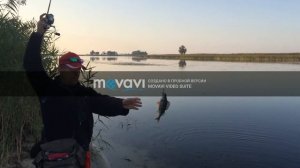 Твичинг окуней силиконовыми приманками