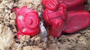 ужасы смотреть новое видео 2025 года, про ужасы онлайн лучшие ужастики бесплатно