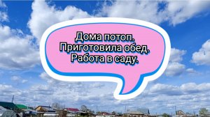 Дома потоп. Приготовила обед. Работа в саду.