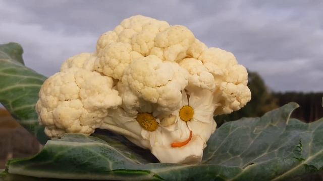 С ДНЕМ РОЖДЕНИЯ ИРА ОТ КАПУСТКИ смотреть онлайн