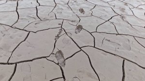 Наконец то я узнал, кто оставляет следы босых ног на дне пересохшего озера.