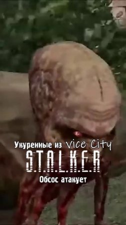 Укуренные из вайс сити vice city сталкер КРОВОСОС НАПАЛ ПЕРВЫЙ МУТАНТ