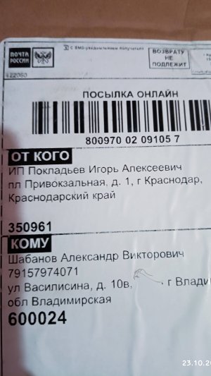 VID_20241026_072913