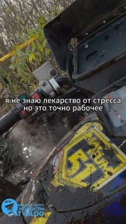 Реально помогает 😉