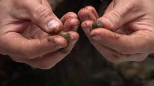 Экспедиция в Фуньково