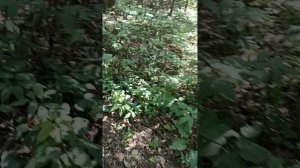 1000000854.mp4