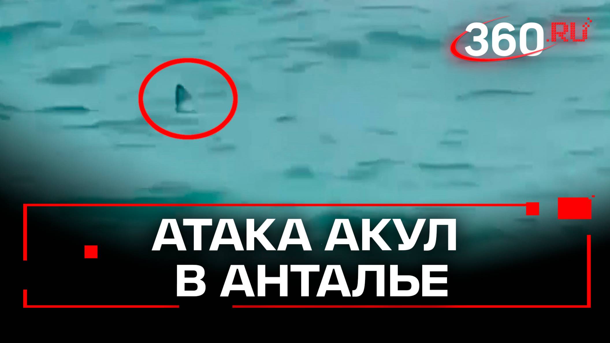 Двухметровые акулы всплыли прямо у пляжа Коньяалты в Анталье