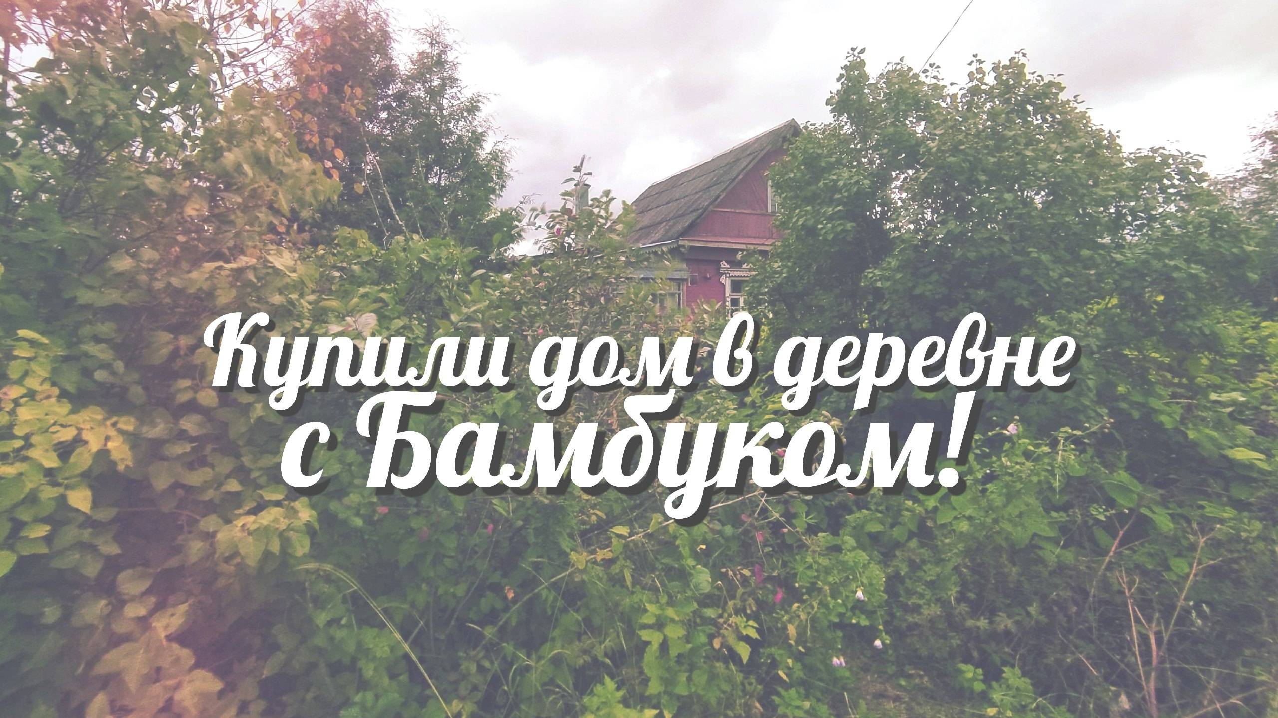 Купили дом в деревне | Очень запущенный участок с БАМБУКОМ