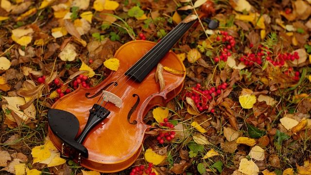 Скрипка музыка. Современная скрипка. Спокойная скрипка. Грустная скрипка. Классическая музыка