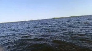 волга
