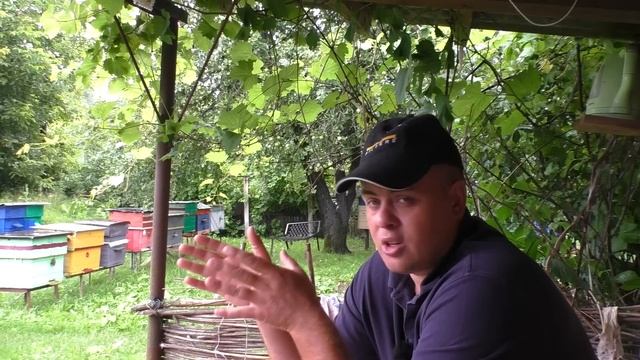 Готовить сани нужно летом! Как оставить качественный мед пчёлам? Разница в типах ульев. смотреть онлайн