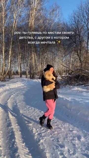 #собака #шпиц #прогулкассобакой #шпицы #шпицмишка #собакадругчеловека #собакаулыбака #собакаприколы