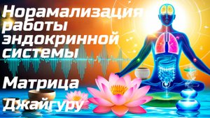 🎧Нормализация работы эндокринной системы. Виброакустическая терапия Джайгуру. 💻ВАУ "Партнёр-Ол"