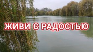 ЖИВИ С РАДОСТЬЮ. СИЛЬНО СКАЗАНО И ГЛУБОКО!